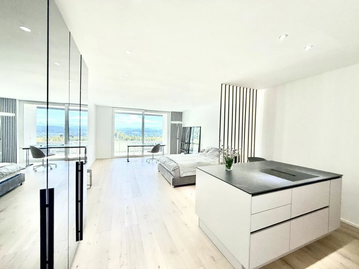 Completely renovated and high-quality modernized 1.5-room apartment with a magnificent view - Photo 3 of 13