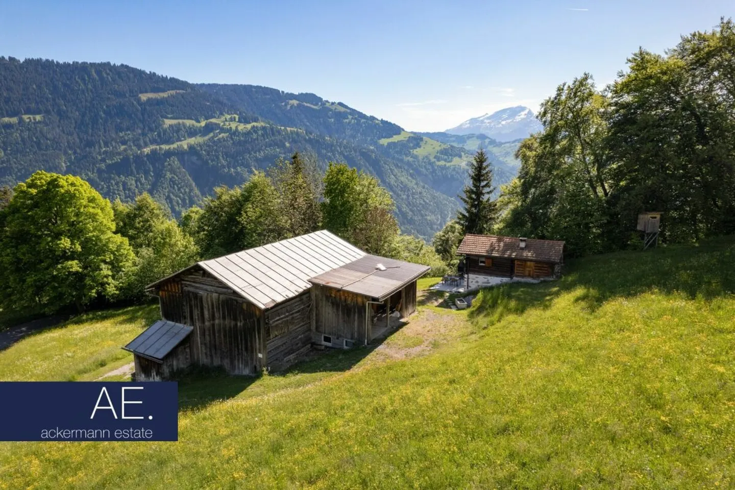 Alpine Cabin in the Midst of Vast Mountain Meadows - Photo 4 of 11