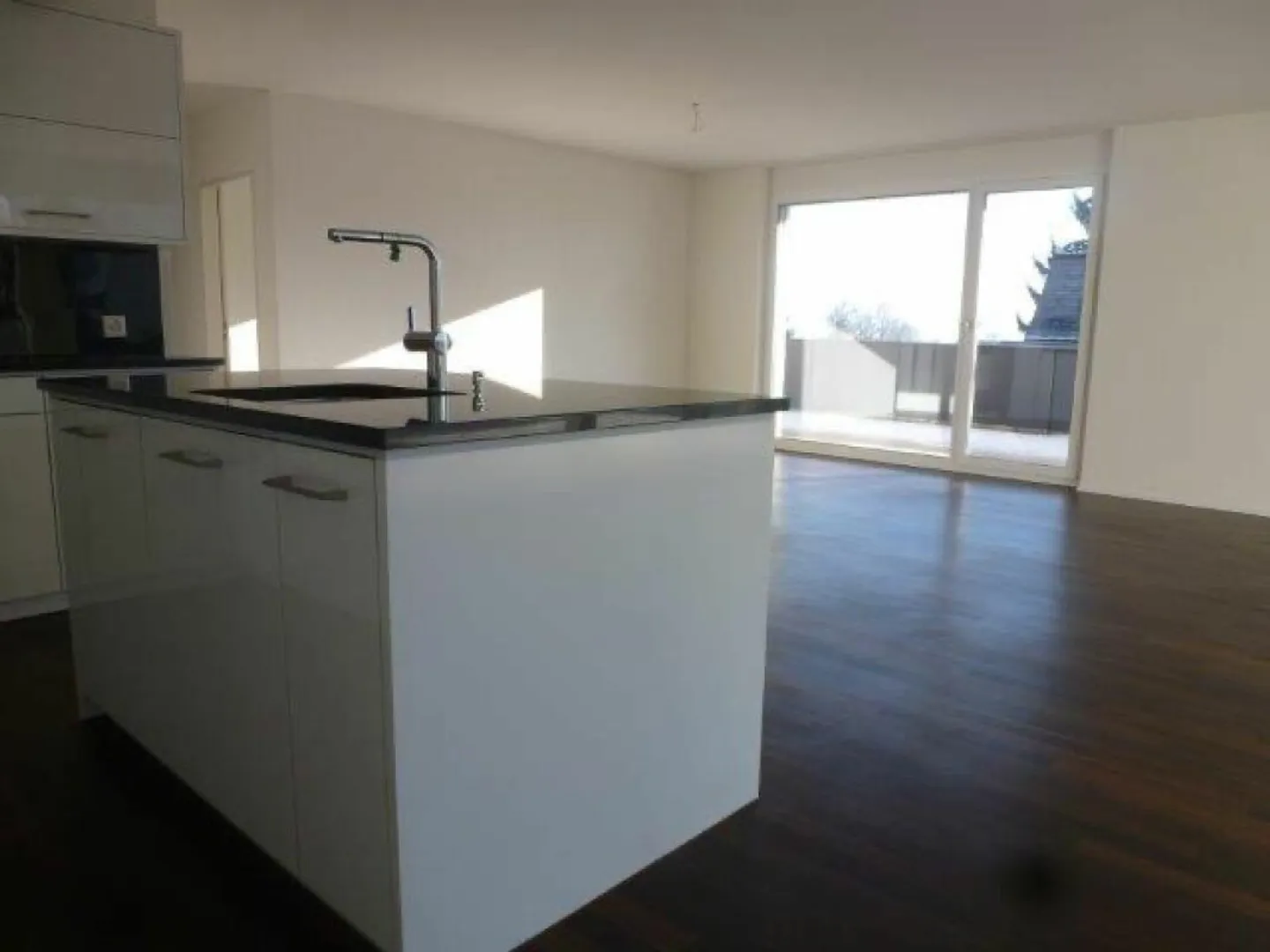 Above the rooftops of Arbon: Penthouse apartment with sunny roof terrace and lake view - Photo 4 of 13