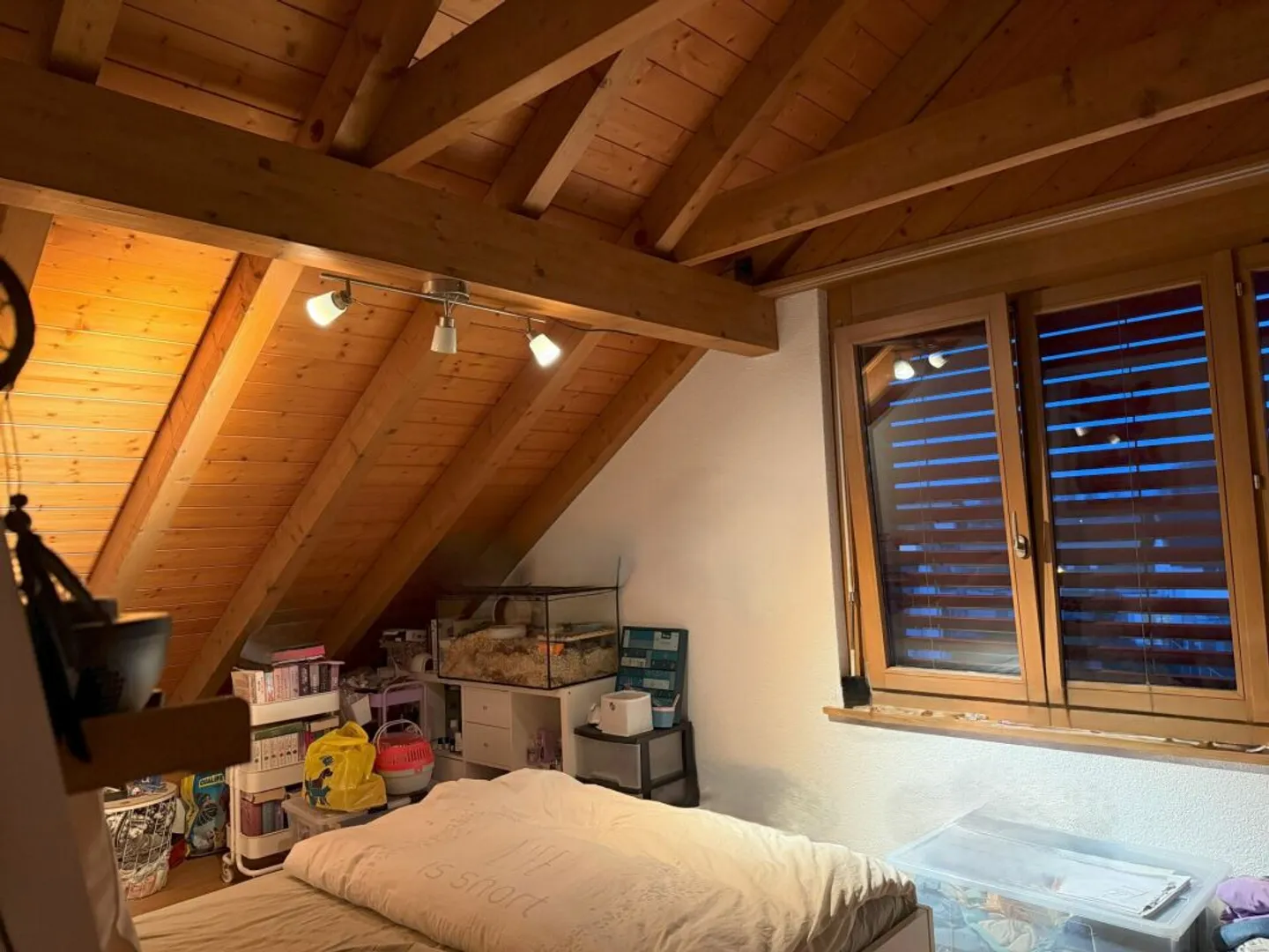 Attikawohnung mit grosszügigem und gemütlichem Innenausbau - Photo 11 of 13