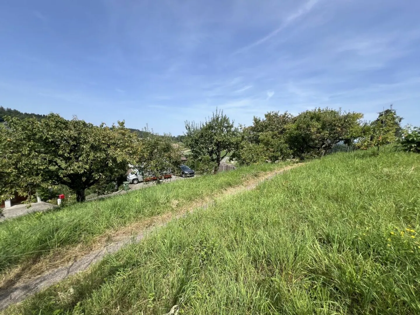 Detached single-family house with a granny flat - Photo 10 of 11