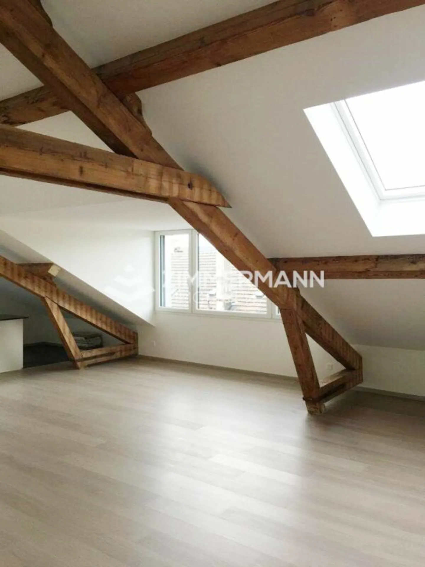 5 pièces en attique à deux pas du lac - Photo 3 sur 4