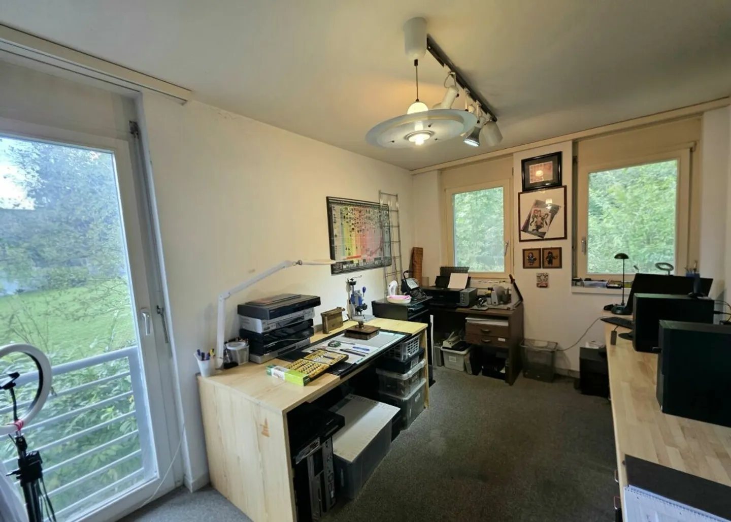 Idylle familiale avec vue ! Maison spacieuse à Ebikon - Photo 11 sur 13