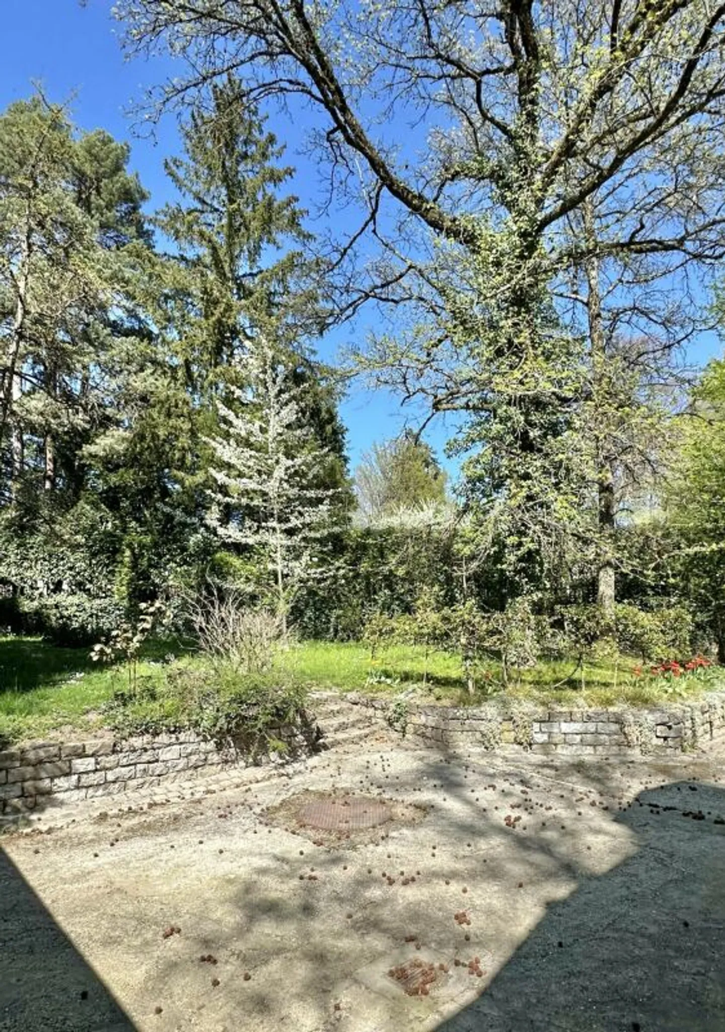 Appartamento in una charmante Villa individuale - Foto 13 di 13