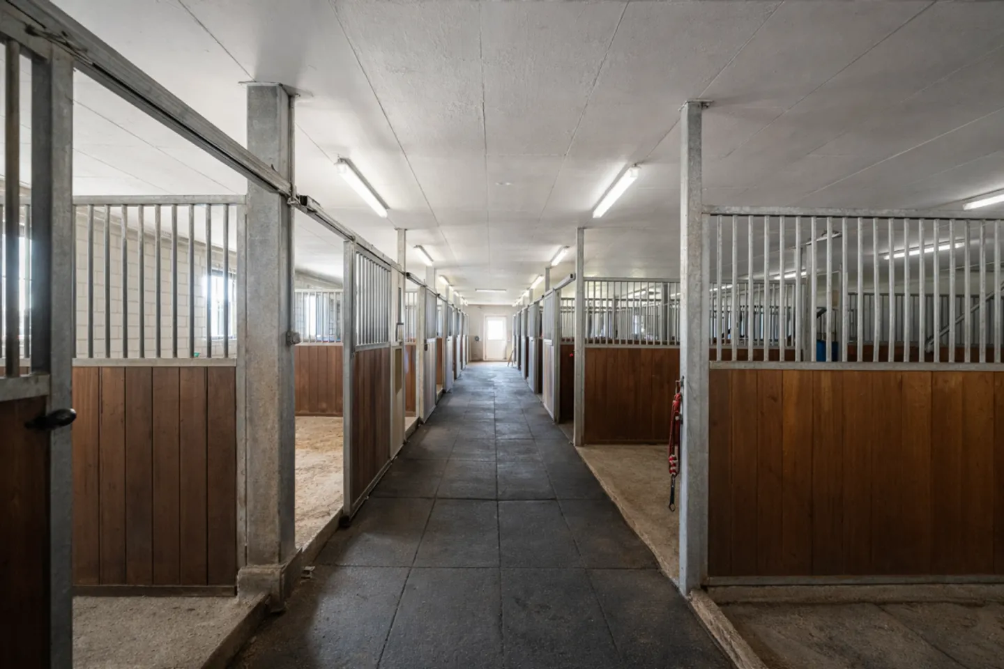 Locataire recherché ! Halle d'équitation Burgdorf incluant le manège - Photo 6 sur 9