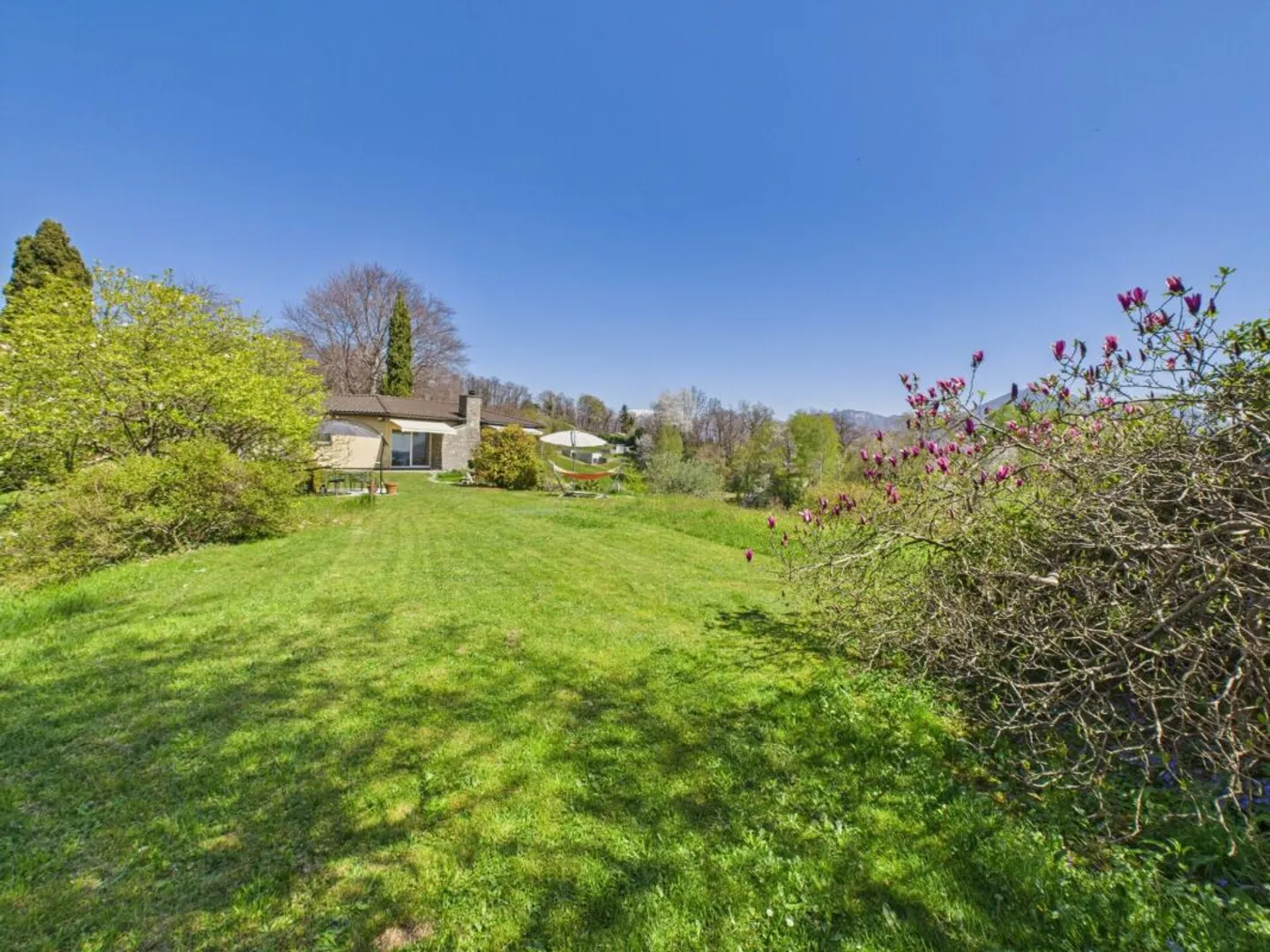 Build Your Dream Home in Nature - Photo 5 of 10