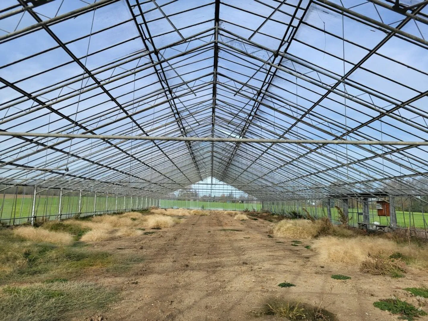 Large Greenhouses near Arbon - Photo 1 of 7