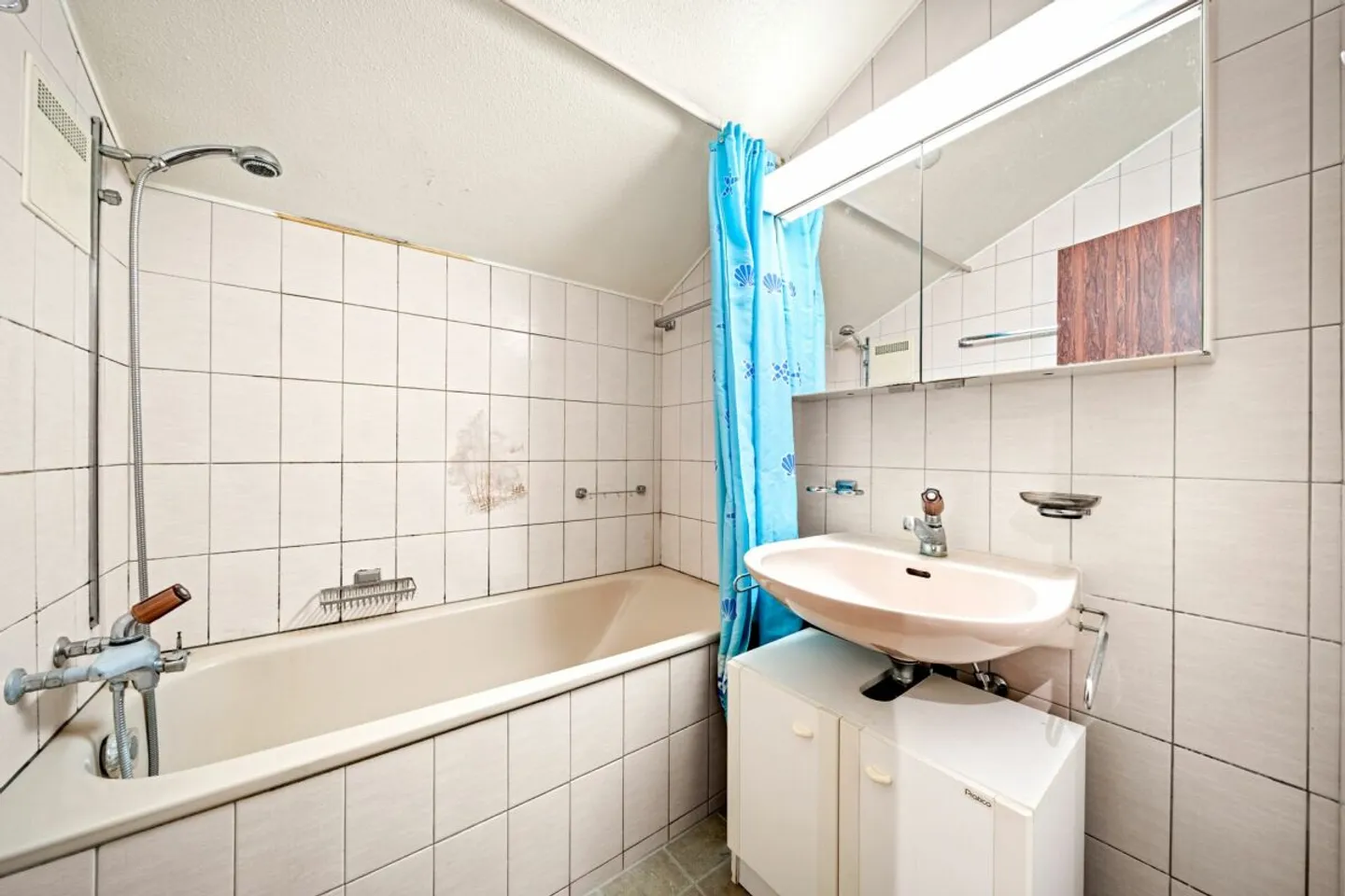 3.5 rooms with panoramic view of lake & mountains - Photo 8 of 13