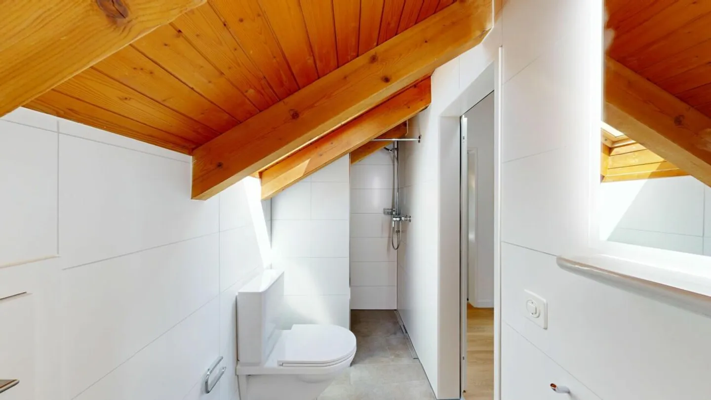 Appartement penthouse spacieux et lumineux avec deux balcons ensoleillés - Première occupation après une rénovation complète et soignée - Photo 12 sur 13