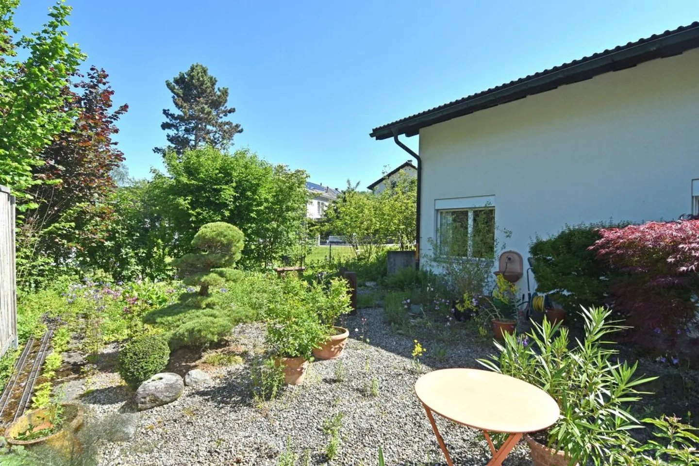 Felicità familiare su un grande terreno, soleggiato, vicino alla natura - Foto 4 di 13