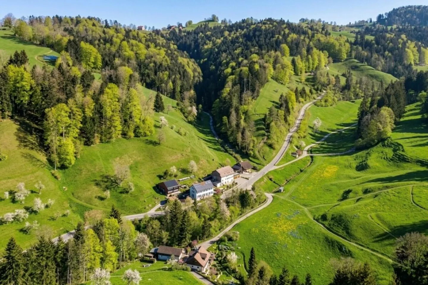 Casa bifamiliare indipendente, completamente ristrutturata e affittata con proprietà forestale! - Foto 1 di 13