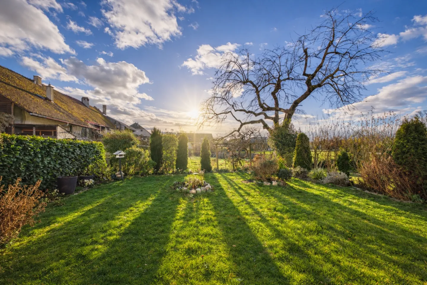 2-room apartment on garden level - Photo 1 of 11