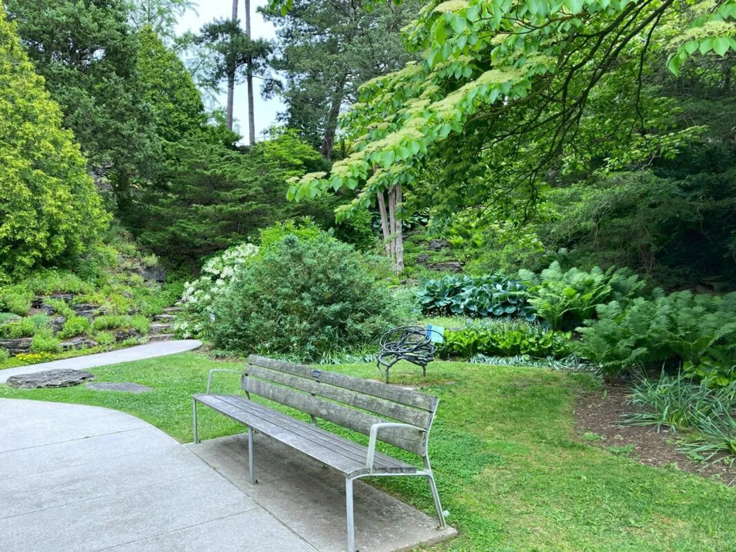 Magnificent apartment in Champel - Photo 1 of 5