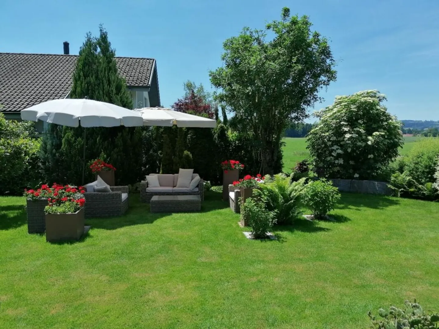 Casa unifamiliare indipendente - una rarità! - Foto 2 di 7