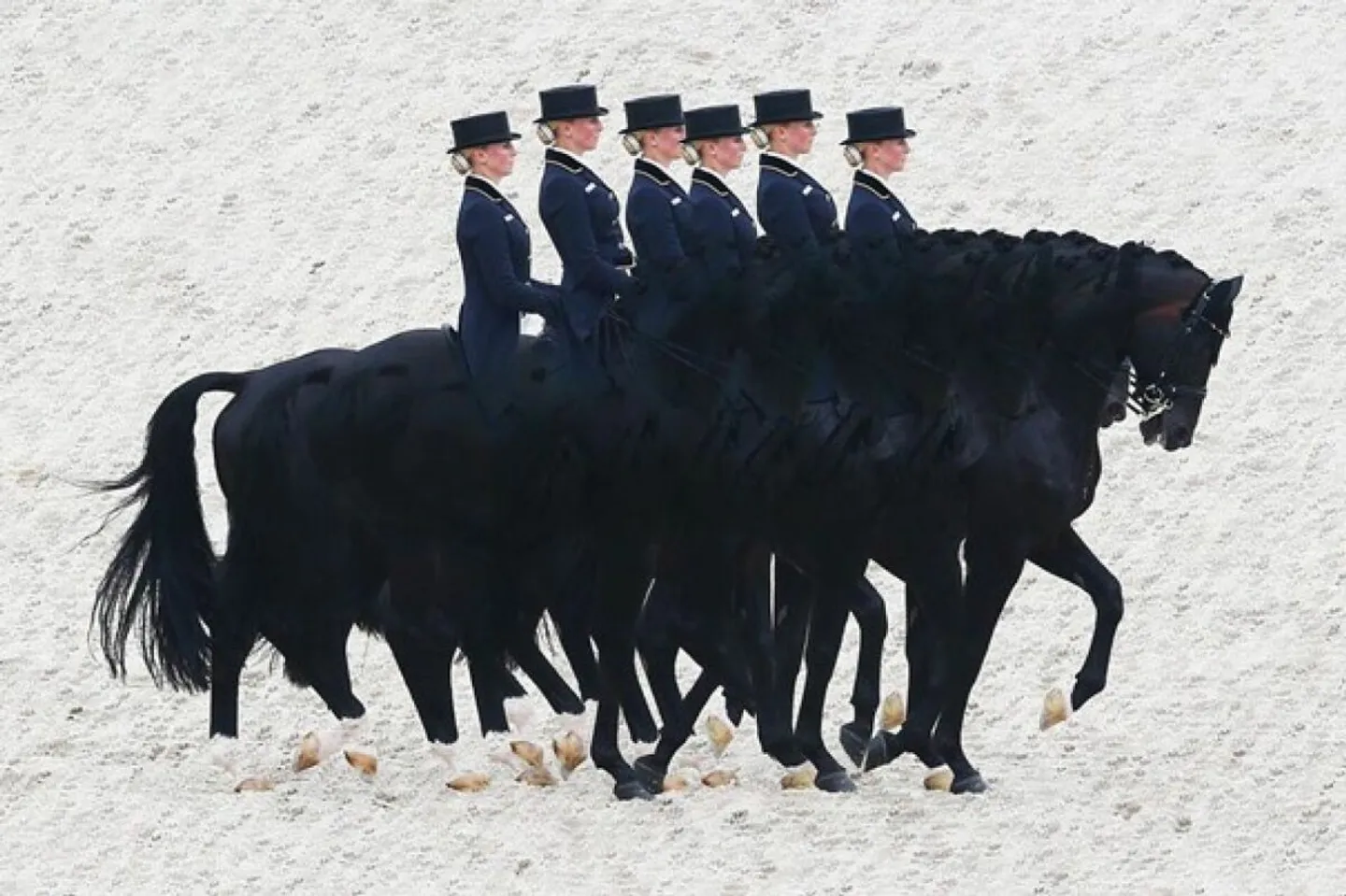 Equestrian property with residential house and studio - Photo 1 of 6