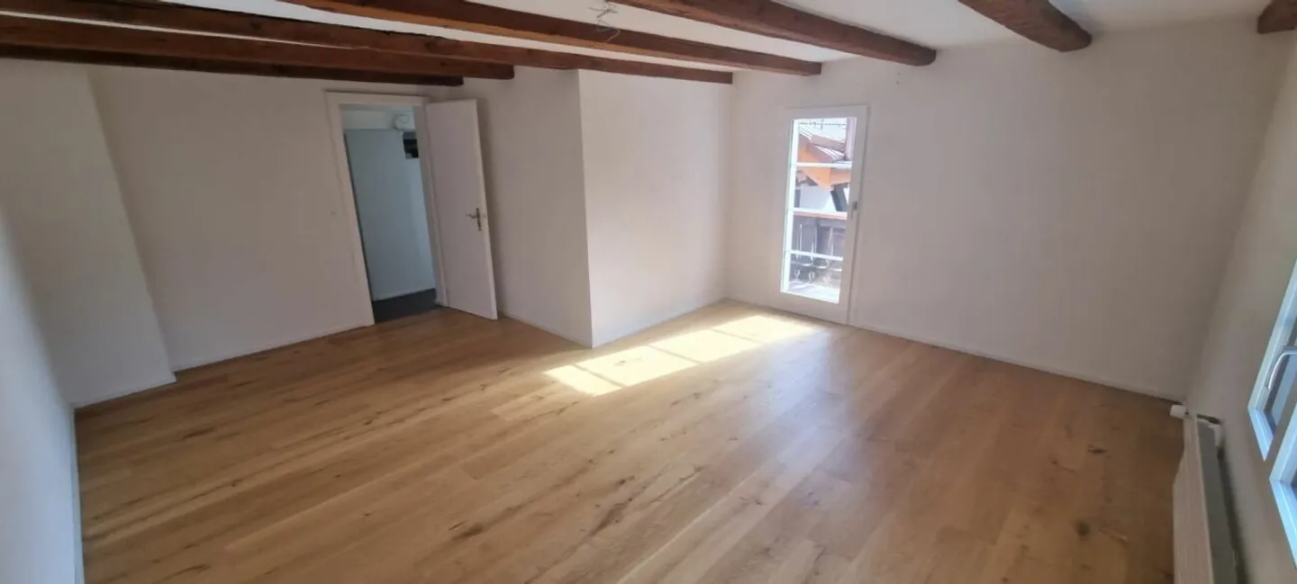 Fully Renovated Multi-Family House with 4 Residential Units - Photo 9 of 11