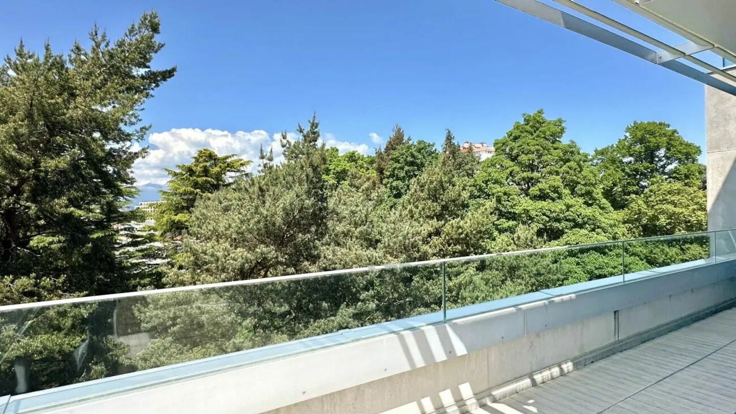 Magnificent apartment with terrace and view on the 5th floor - Photo 9 of 13
