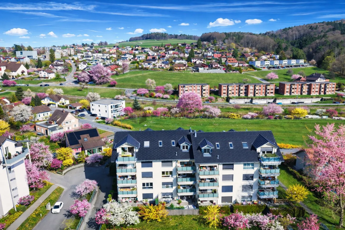 Bright 3.5 Room Apartment - Photo 1 of 12