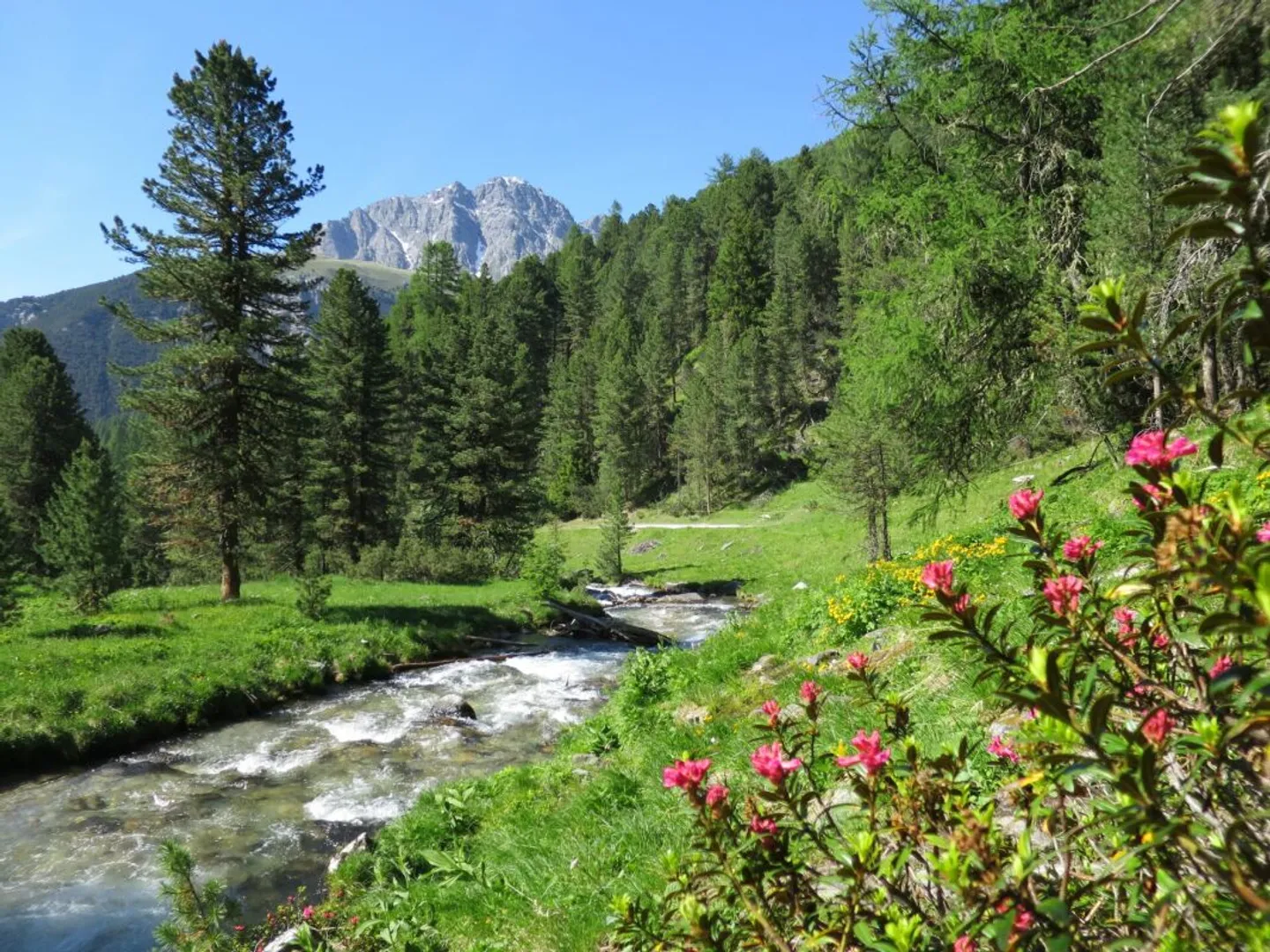 NUOVA COSTRUZIONE: Vita alpina in Engadina - proprio come te lo immagini - Foto 10 di 11
