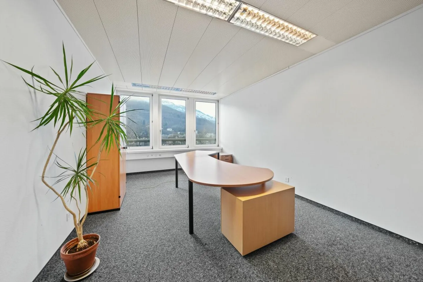 Helle Büroräume mit Aussicht - Foto 2 von 11
