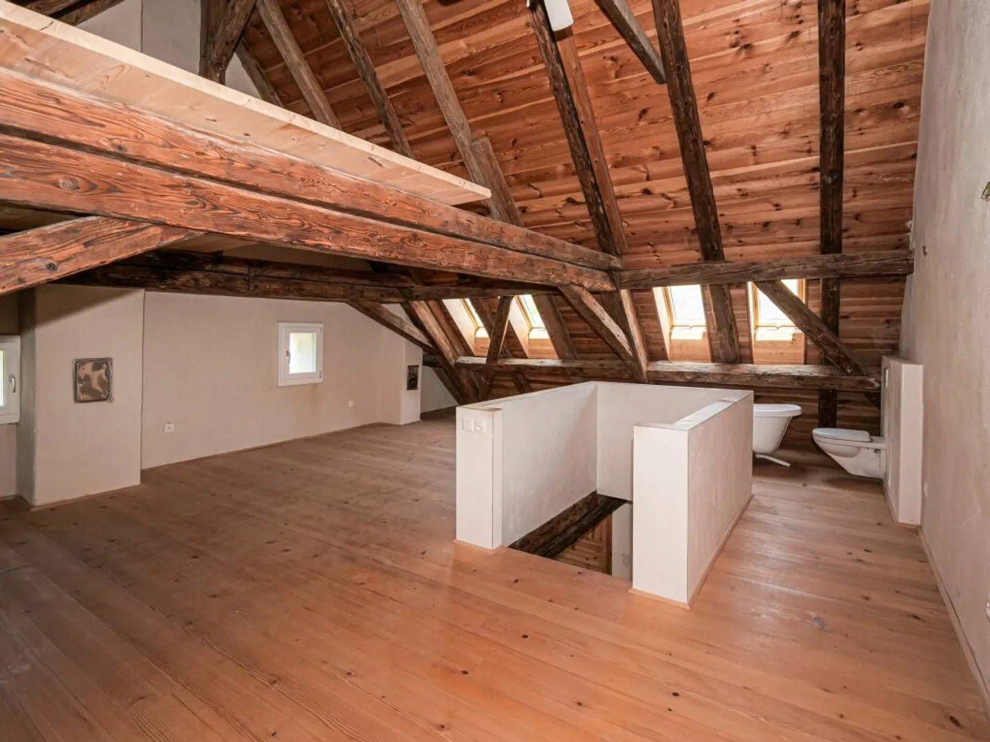 Nature-friendly living in a renovated house - Photo 7 of 9