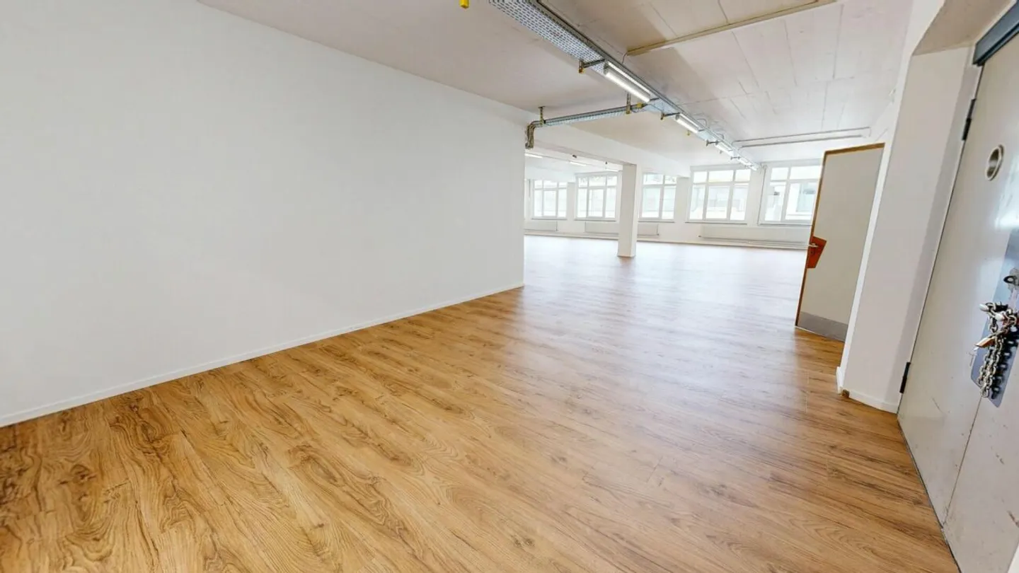 Spacious commercial spaces with versatile usage options in Basel - Photo 9 of 13