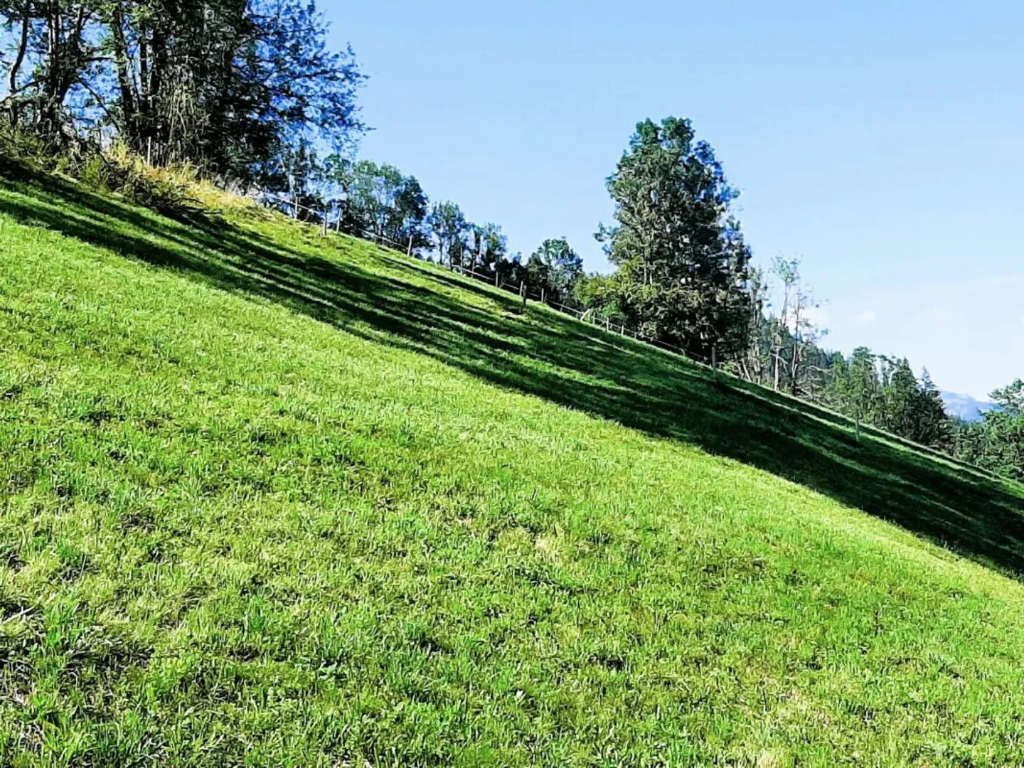 Teilerschlossenes Bauland an sonniger Hanglage in Zweisimmen BE - Foto 1 di 10