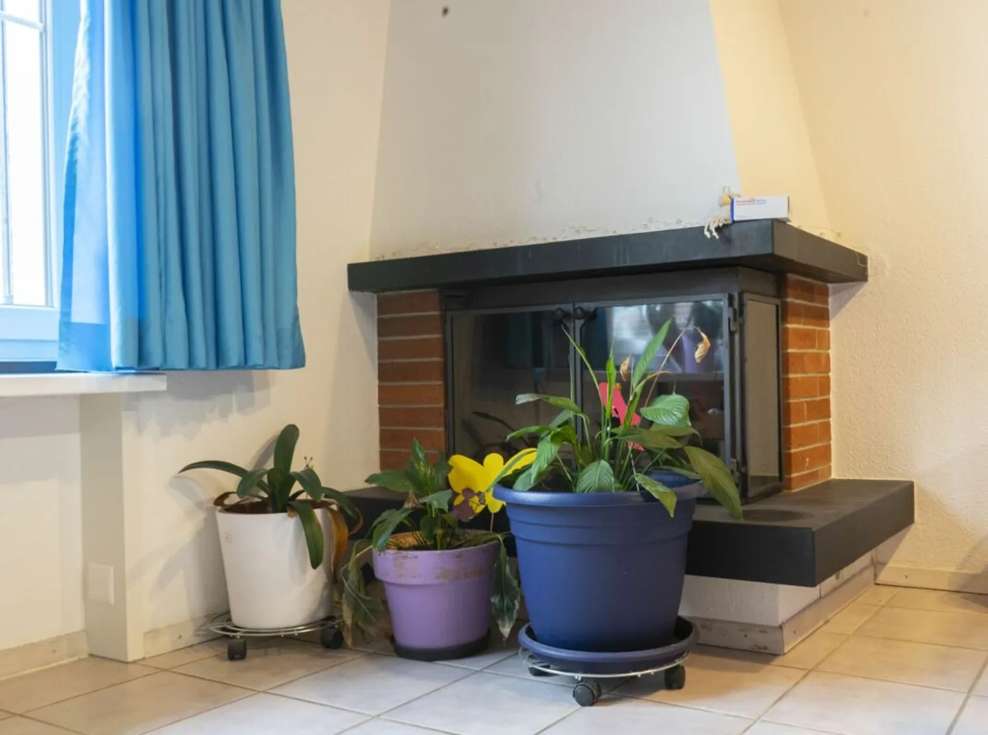 Charmantes Mehrfamilienhaus - Foto 9 von 13