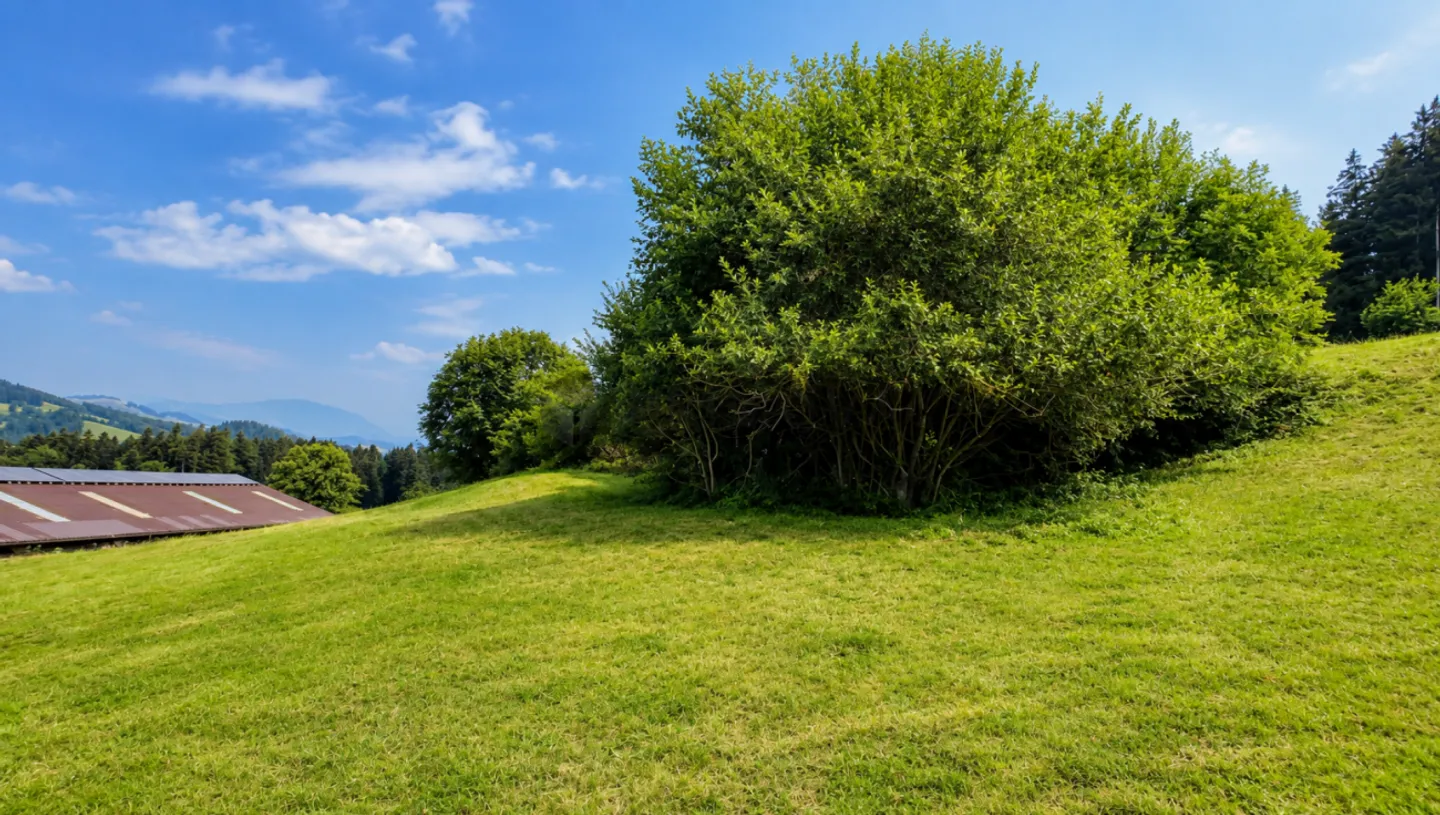 Vue de rêve, emplacement ensoleillé et beaucoup de potentiel à Speicher - Photo 1 sur 1