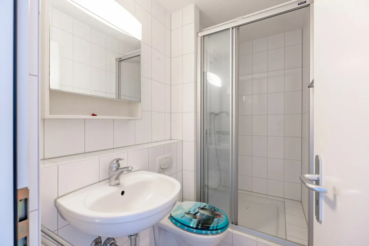 Spacious 3.5-room apartment with winter garden near the city - Photo 10 of 13