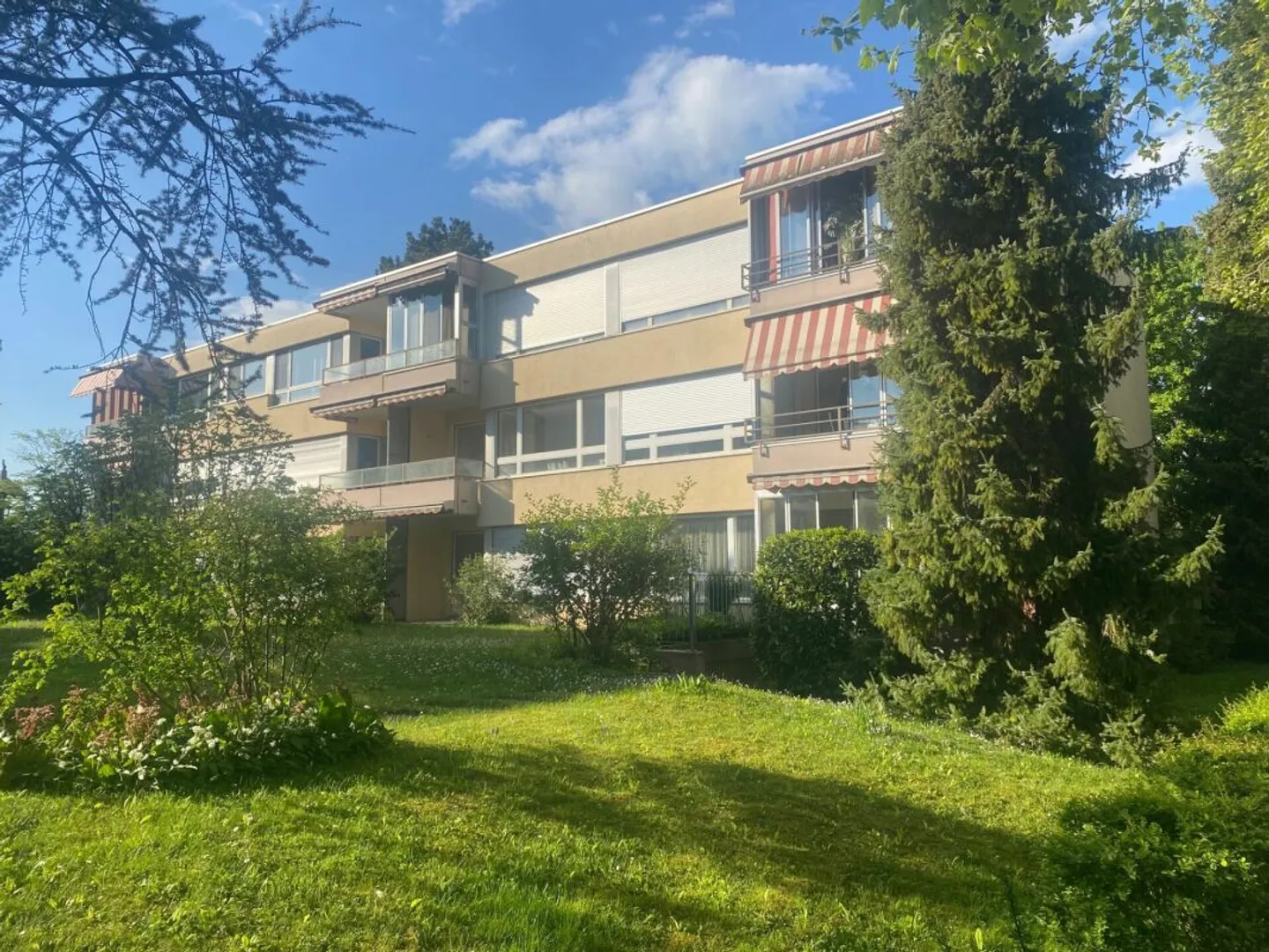 Barrier-free living with potential: 2-room apartment with terrace & underground parking in prime location of Allschwil - Photo 1 of 5
