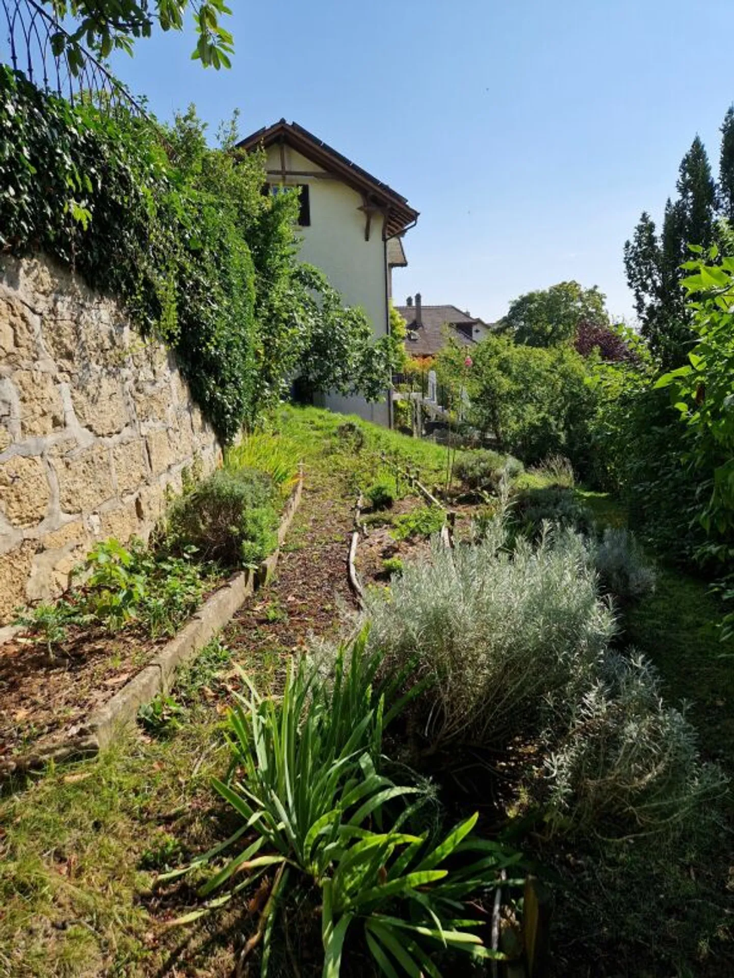 Appartamento di 3 stanze, terrazza con vista sul lago e sulle Alpi - Foto 11 di 13