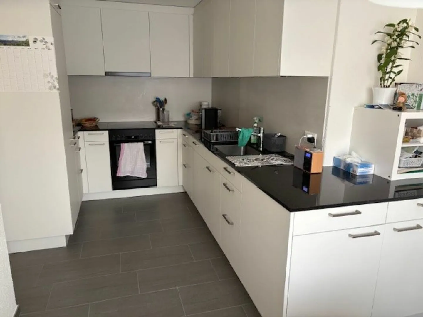 Central with wonderful view of the Pizol copy - Photo 2 of 12