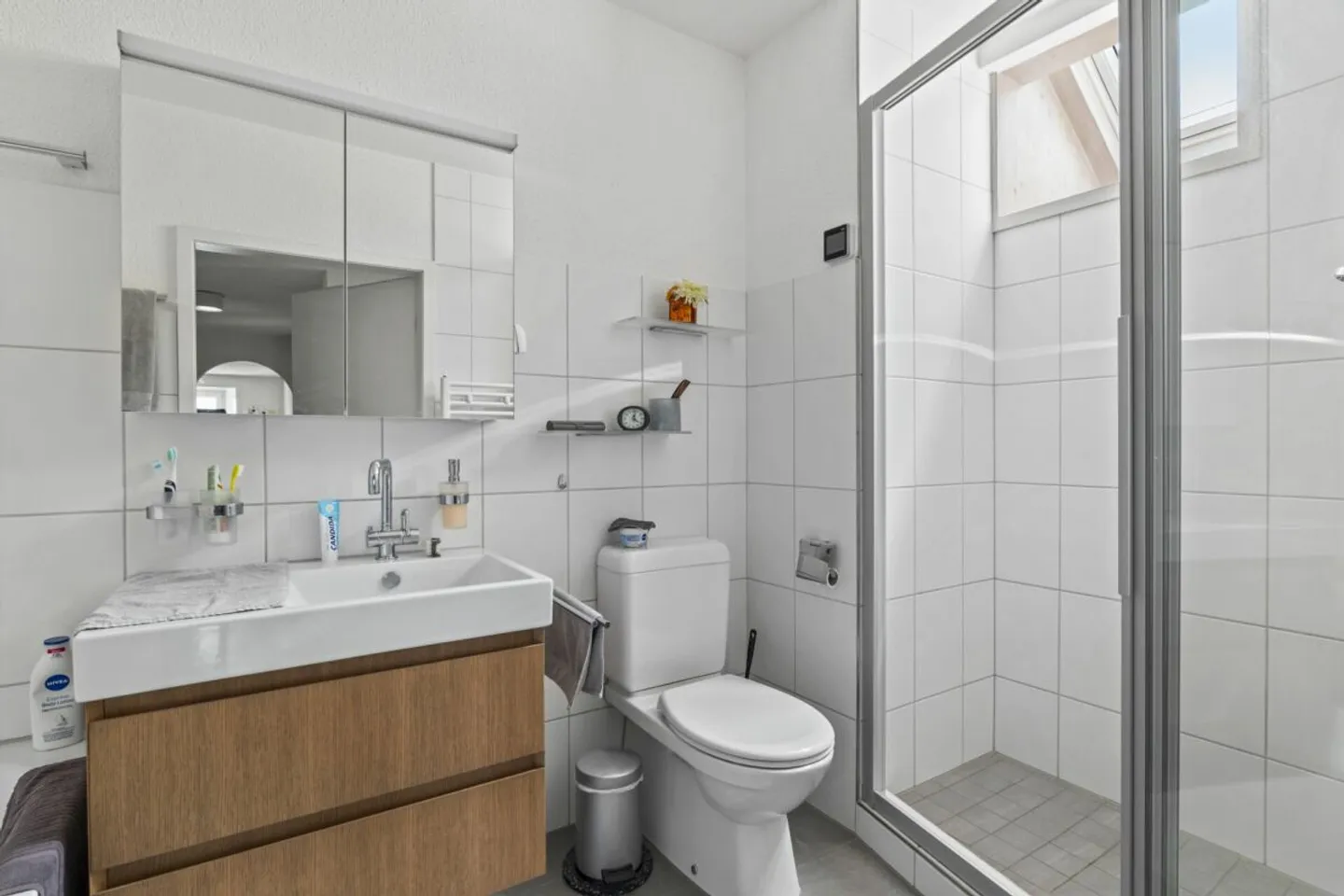 8.5-room detached house with 2.5-room granny flat, large garage and storage areas - Photo 9 of 13