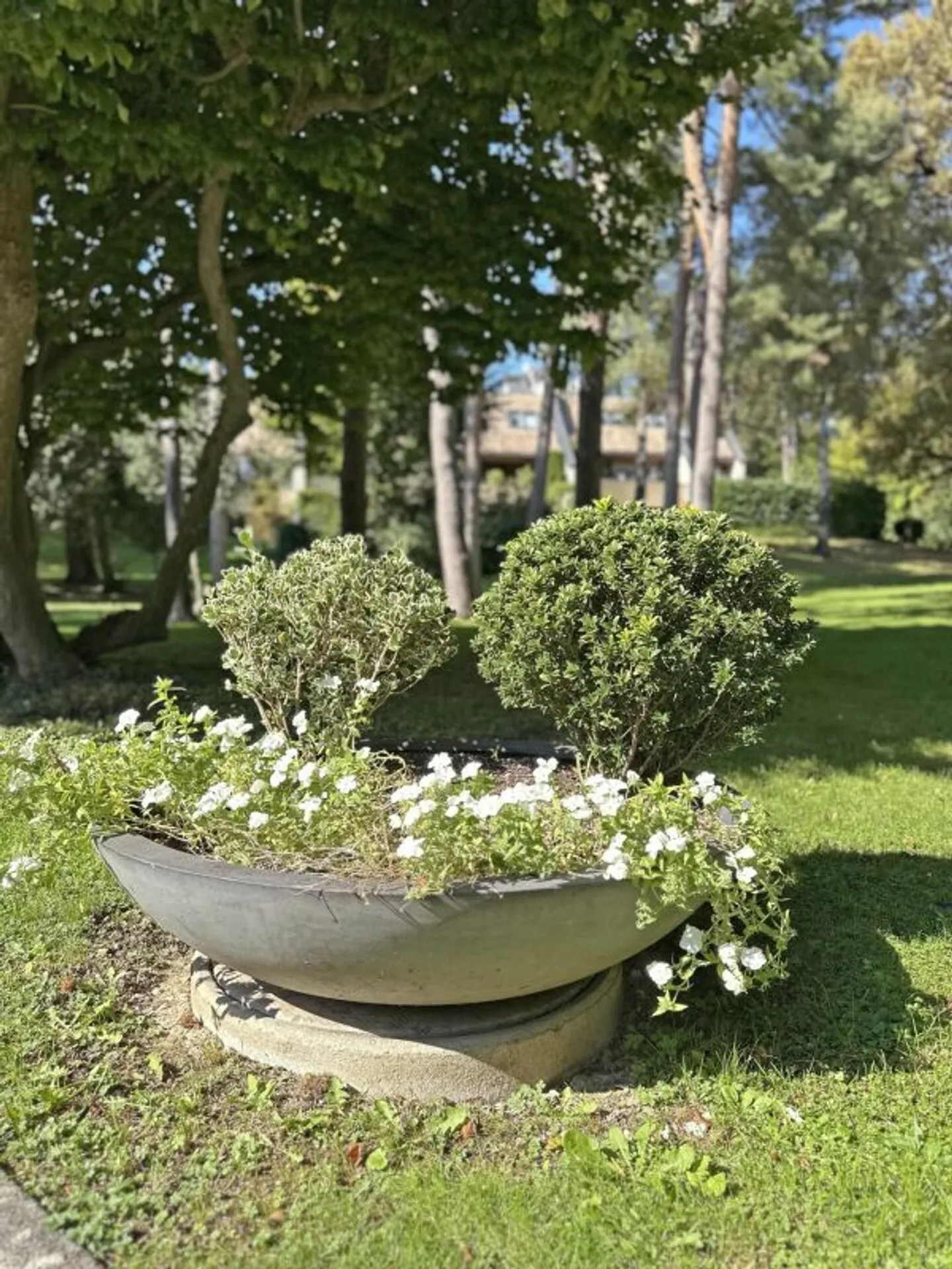 Triplex 6 Zimmer in Conches - Foto 2 von 13