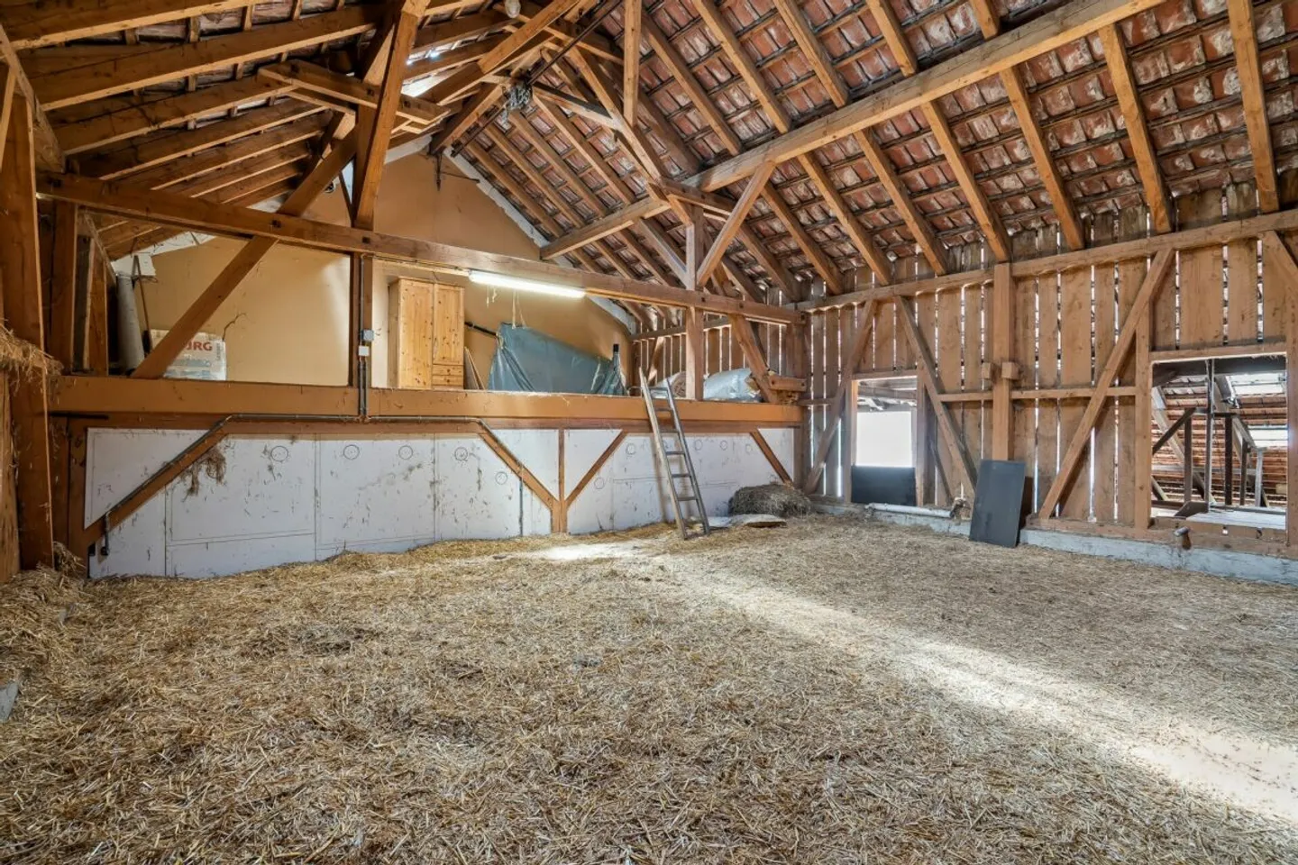 WHERE HORSES, NATURE AND VISION FIND A HOME - Photo 7 of 8