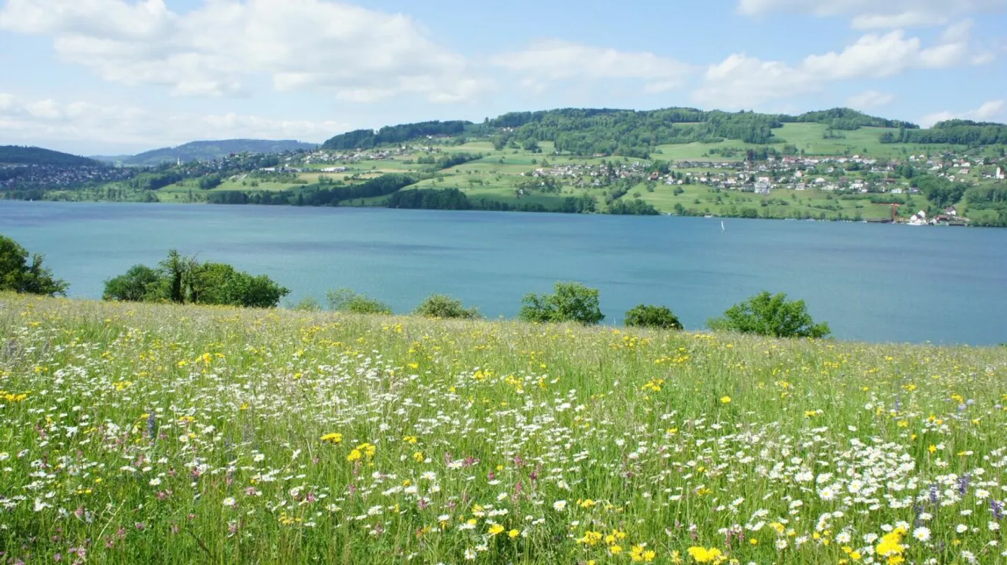Villa di campagna con vista lago non ostacolata - Foto 1 di 1