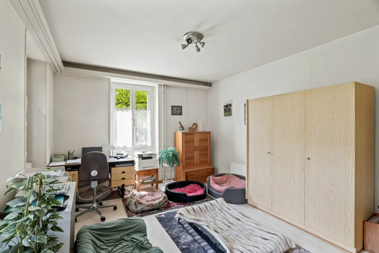 A place with freedom, potential, and space for visions - Photo 7 of 13
