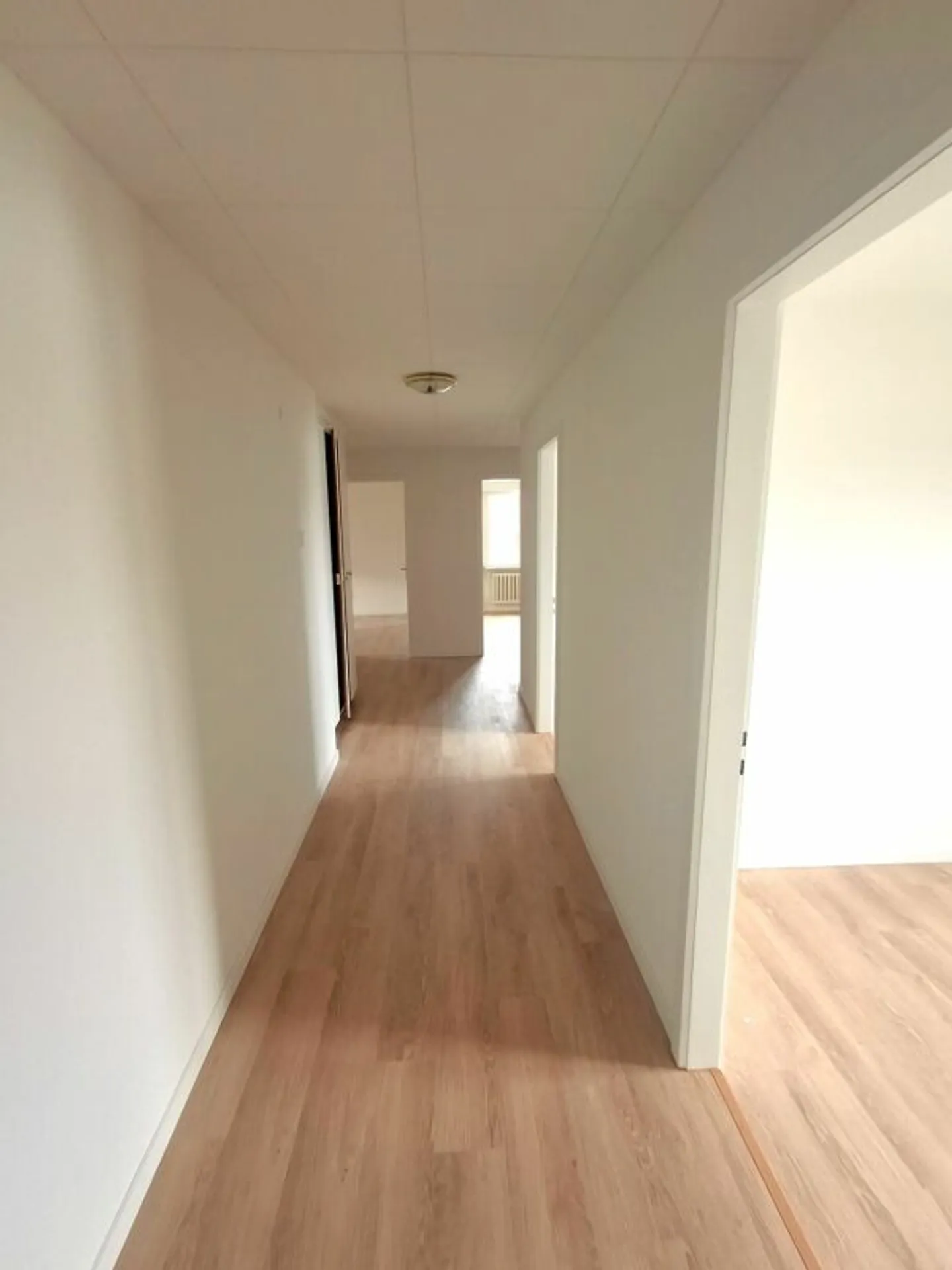 Modernes Apartment in Top Lage - Foto 6 von 8