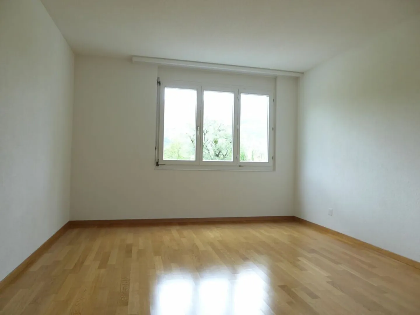 Attractive living in a quiet and central location - Photo 8 of 13