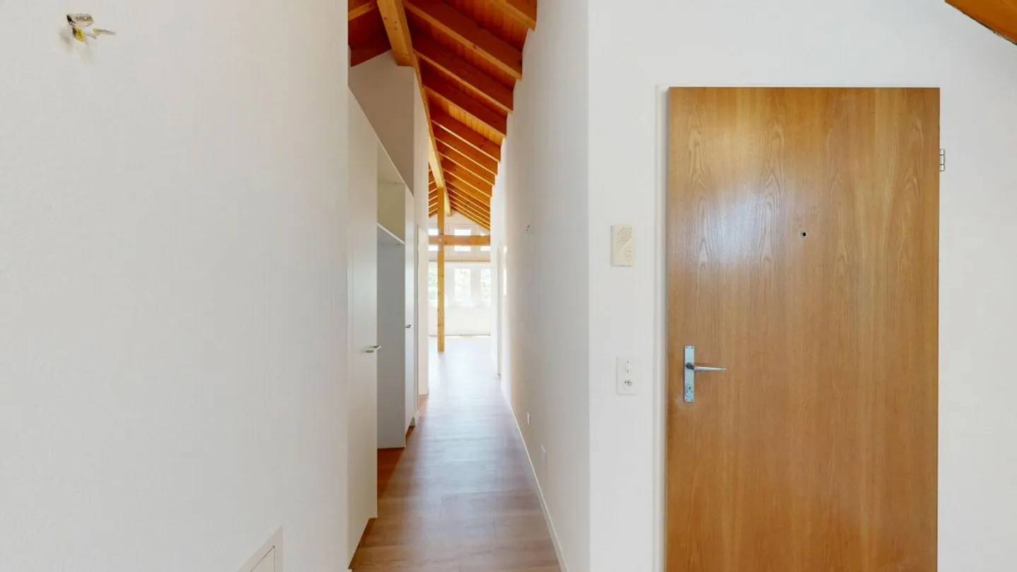 Appartement penthouse spacieux et lumineux avec deux balcons ensoleillés - Première occupation après une rénovation complète et soignée - Photo 7 sur 13
