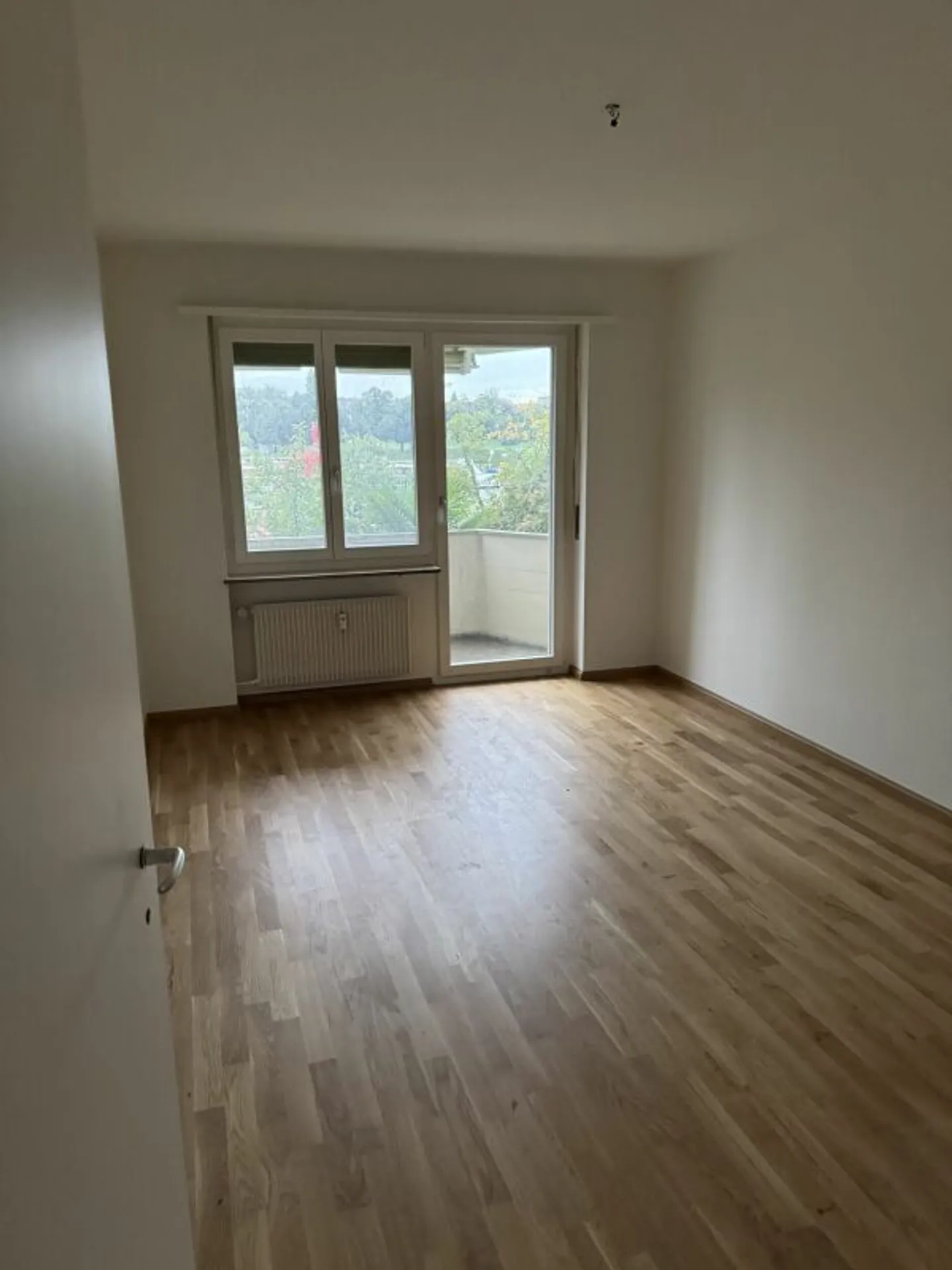 Renovated apartment with new kitchen by the Rhine - Photo 1 of 7