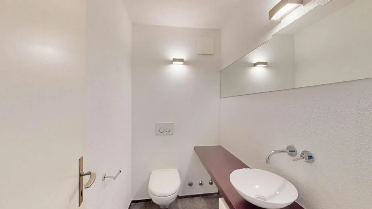 Nature, Paix et Soleil - Vivre sur l'Üetliberg avec une Terrasse Impressionnante - Photo 8 sur 11