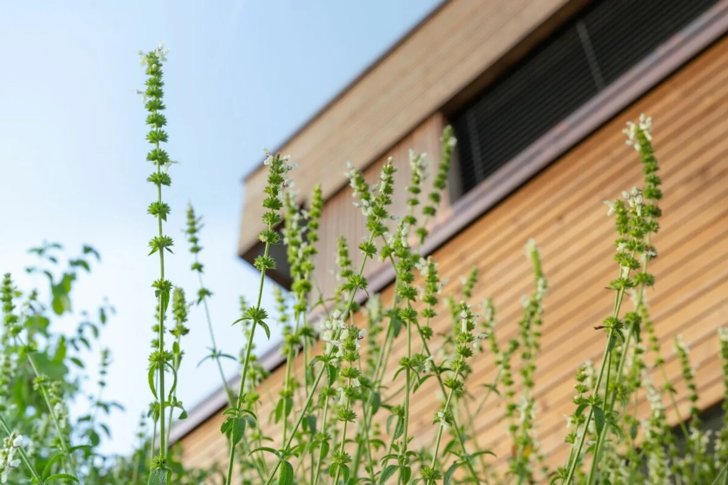 Neubau-Eigentumswohnung mit Minergie-Zertifikat - Foto 4 von 7
