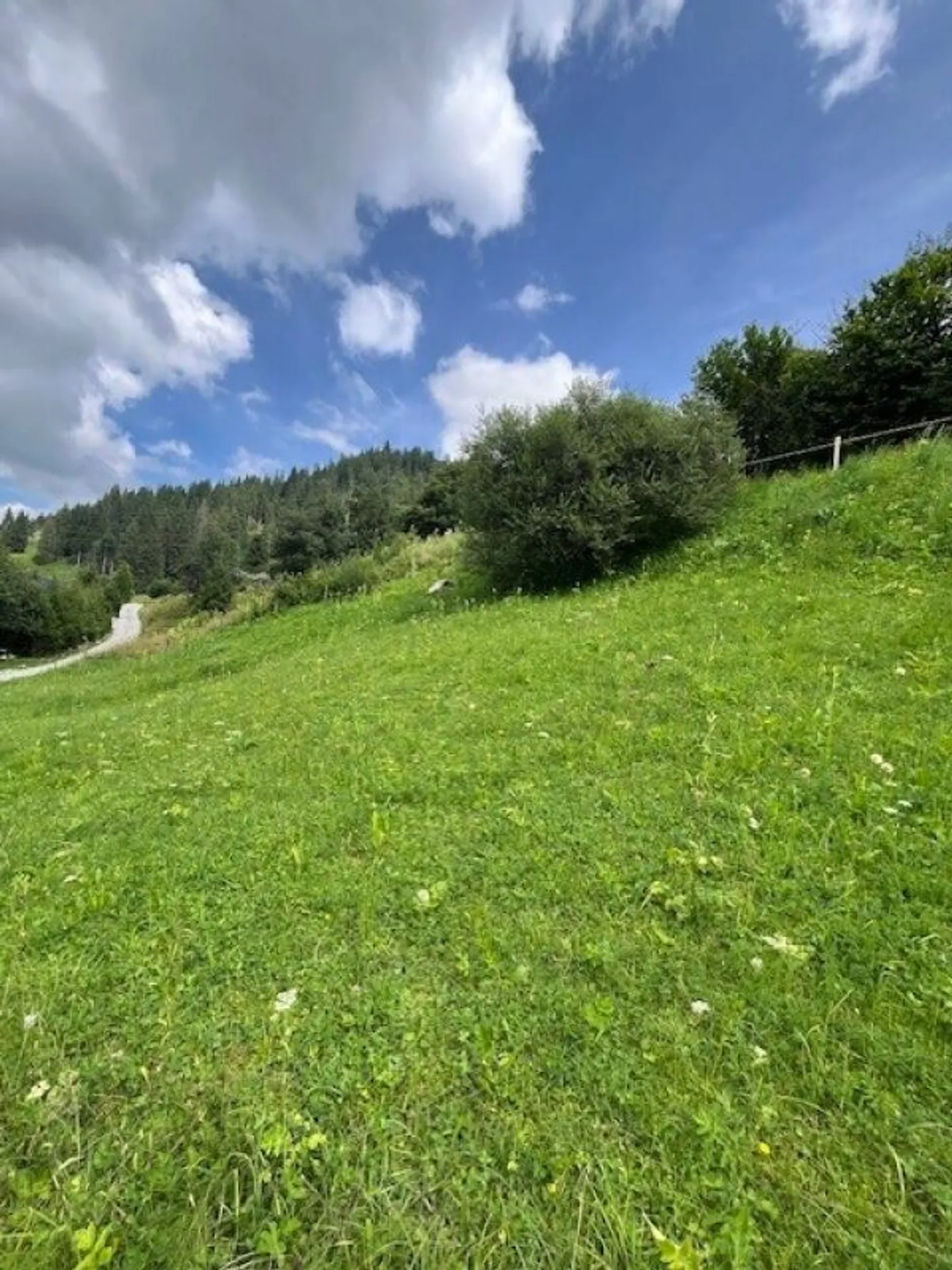 Terreno edificabile completamente sviluppato in posizione elevata a Plaffeien FR - Schwarzsee - Foto 10 di 13