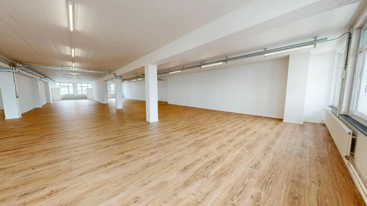 Spacious commercial spaces with versatile usage options in Basel - Photo 7 of 13