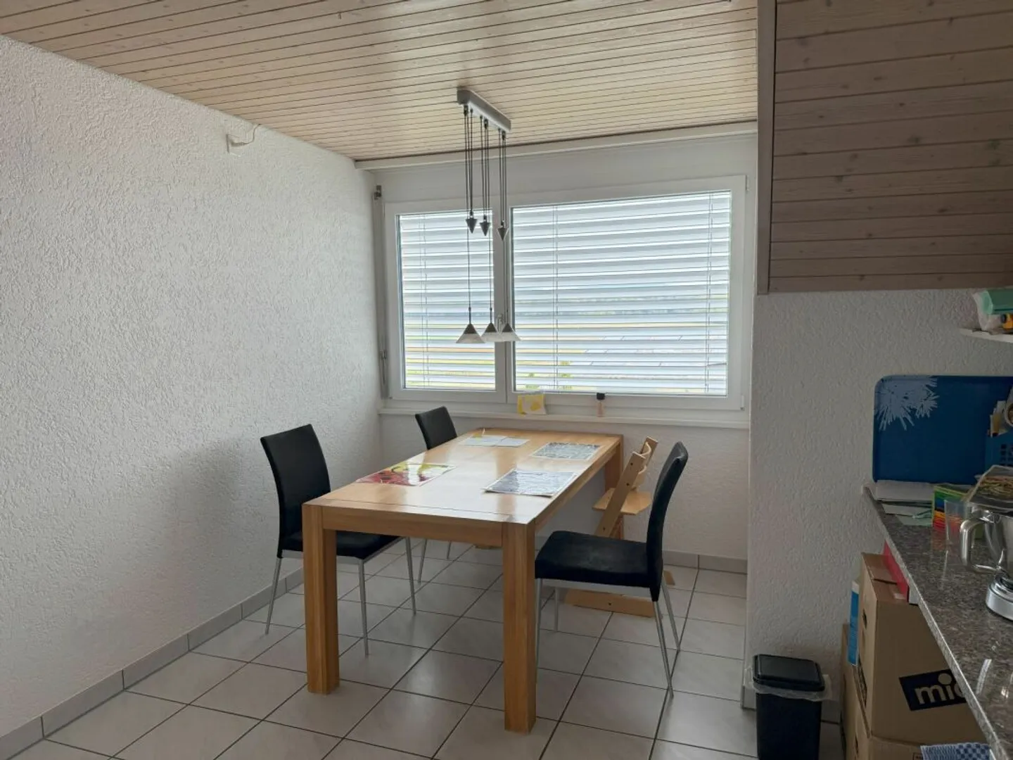 Attic apartment with lots of sun and attractive distant views - Photo 8 of 13