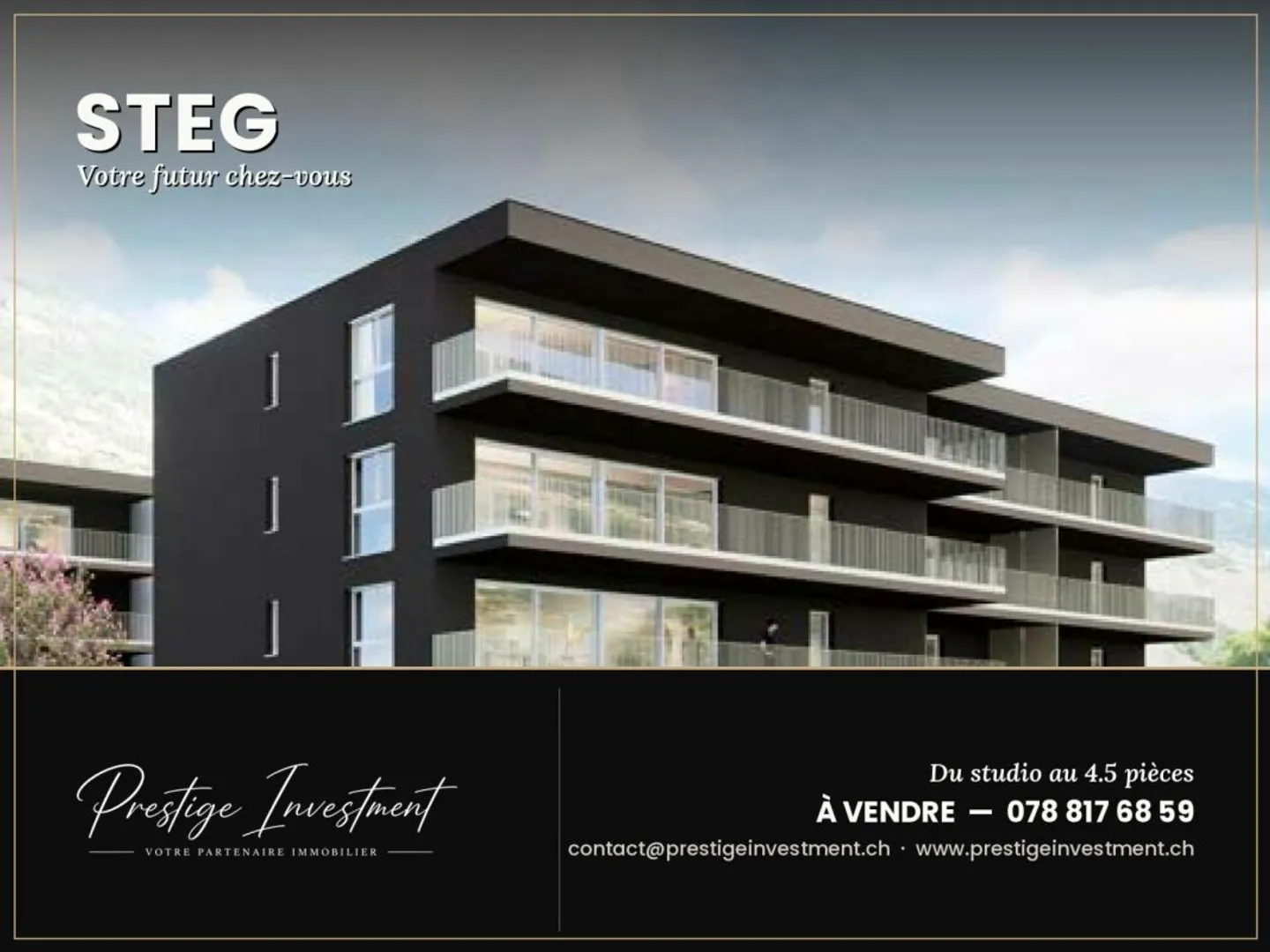 New Promotion in Steg, Valais - Photo 1 of 1