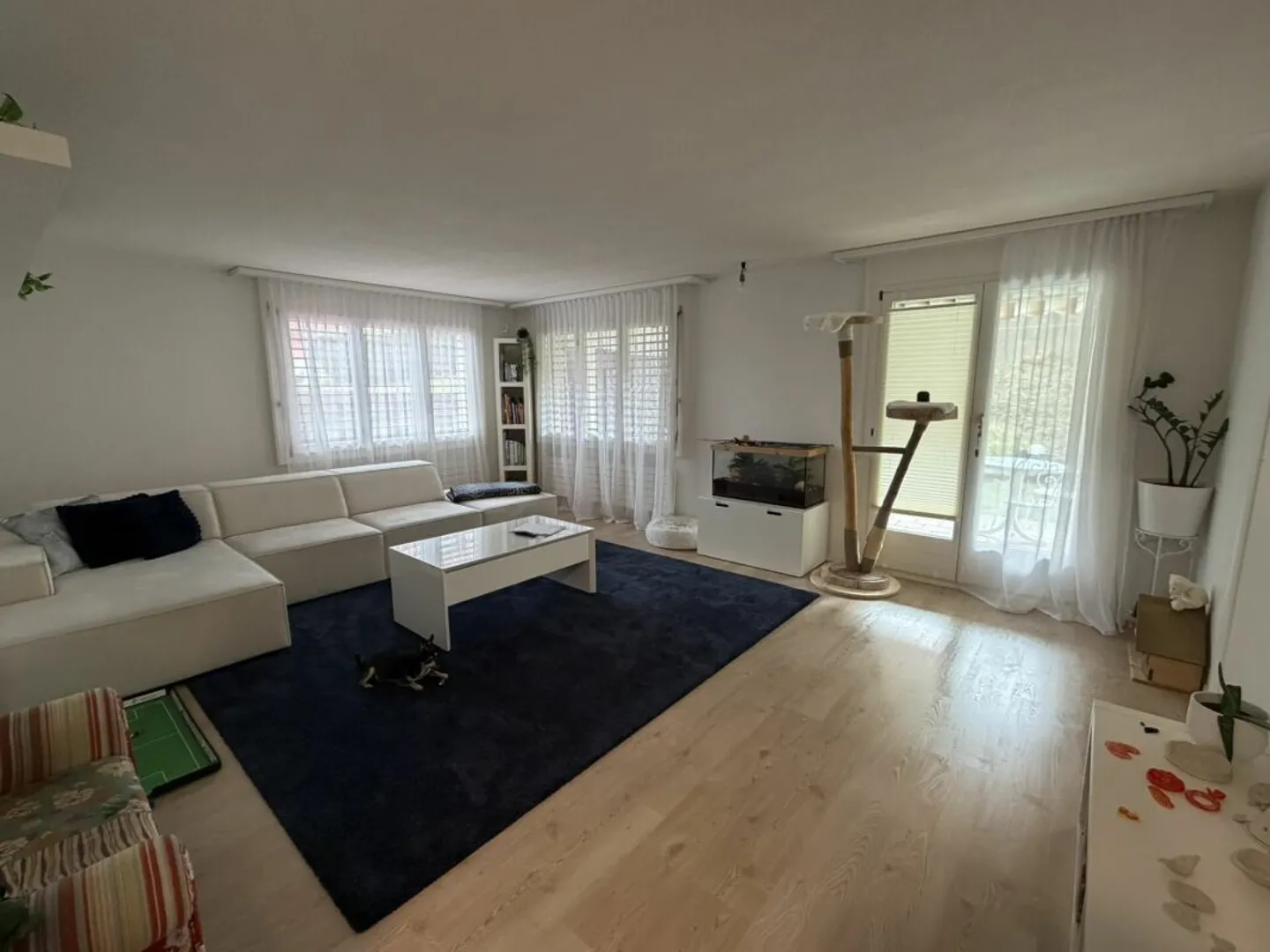 Geräumige Gartenwohnung - Foto 6 von 13