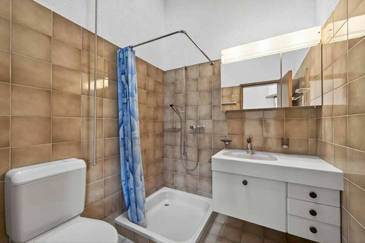 PANORAMA HARMONIE: 5.5 Room Corner House in Preferred Location - Photo 11 of 13